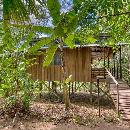 Selva Bananito Lodge Westfalia Exterior foto
