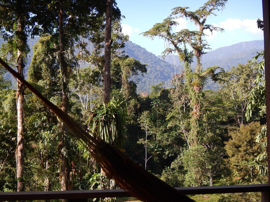 Selva Bananito Lodge Westfalia Quarto foto